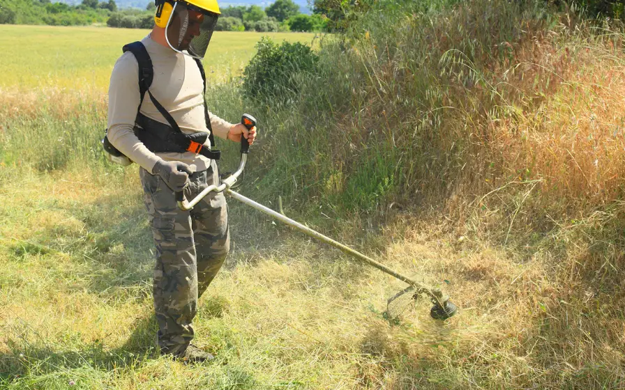 Homme protégé débroussaillant des herbes hautes avec une débroussailleuse thermique.
