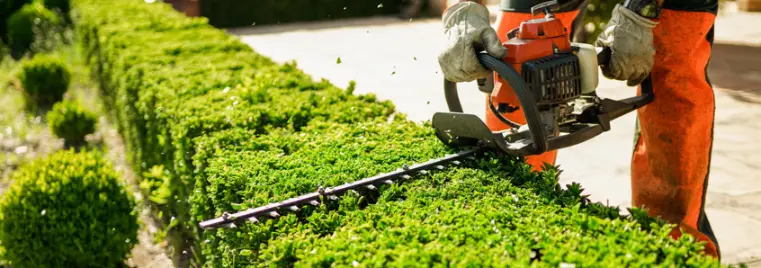 Jardinier en combinaison orange taillant une haie verte avec taille-haie