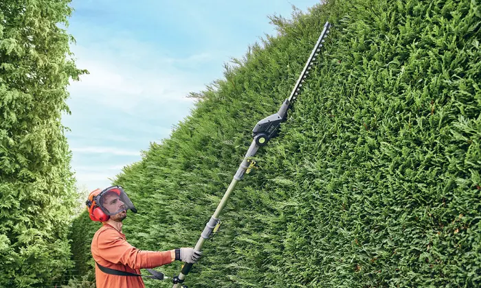 Jardinier équipé taillant une grande haie verte avec un taille-haie télescopique